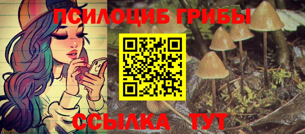 Псилоцибиновые грибы Cubensis  Вход с VPN  Будённовск  Псилоцибиновые грибы GOLDEN TEACHER 