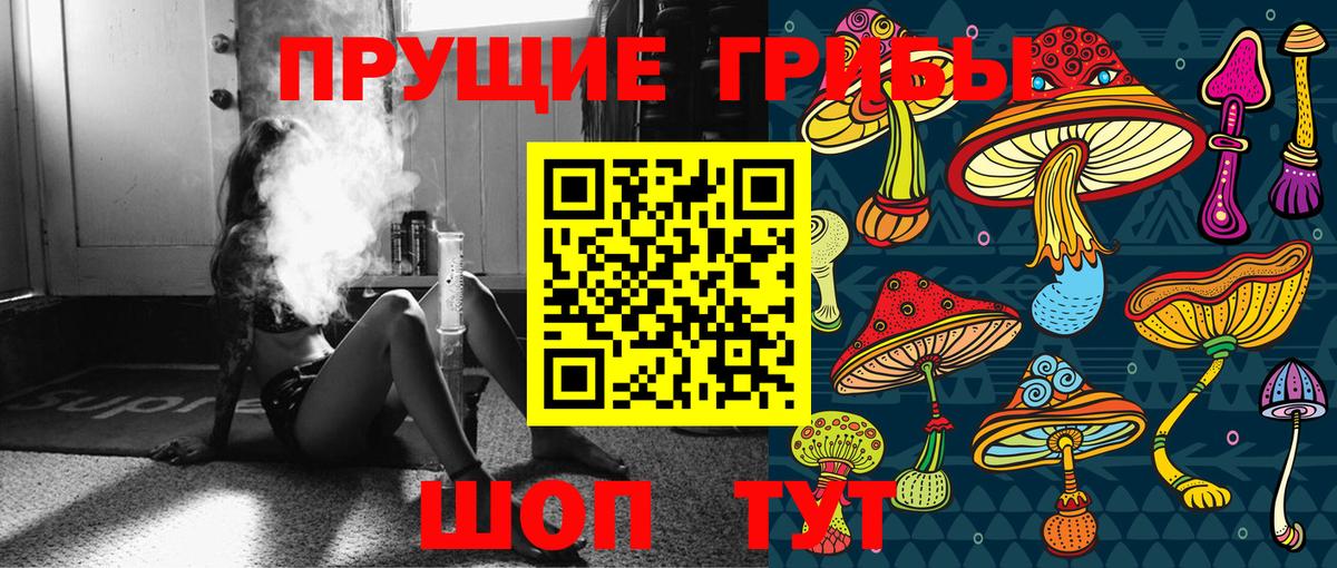 Псилоцибиновые грибы Cubensis  Будённовск 