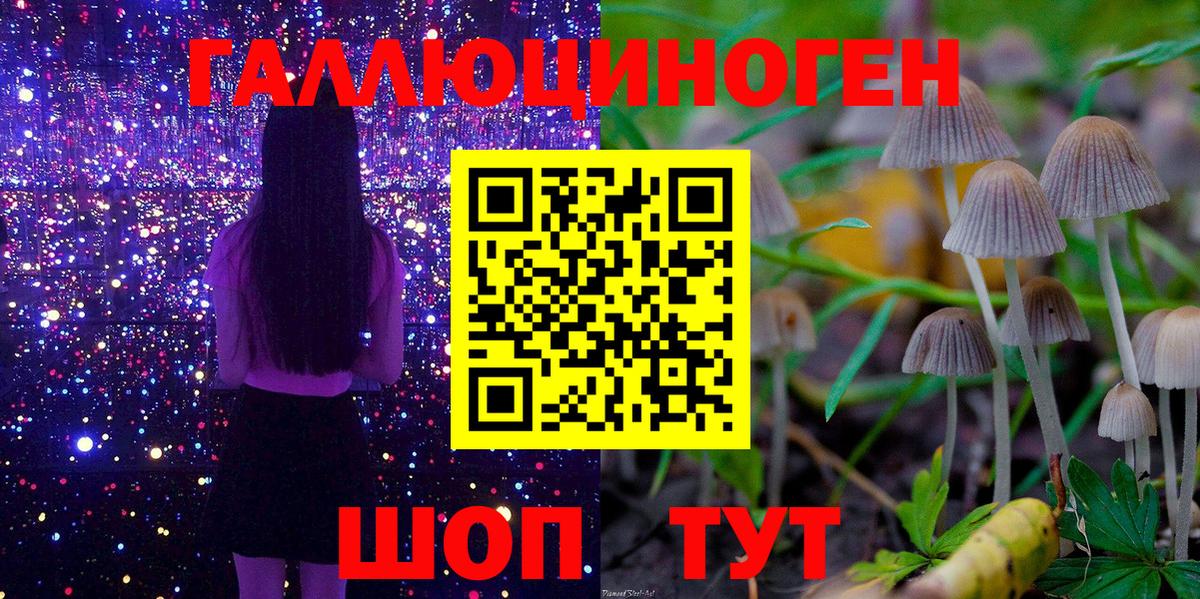 Псилоцибиновые грибы ЛСД Будённовск