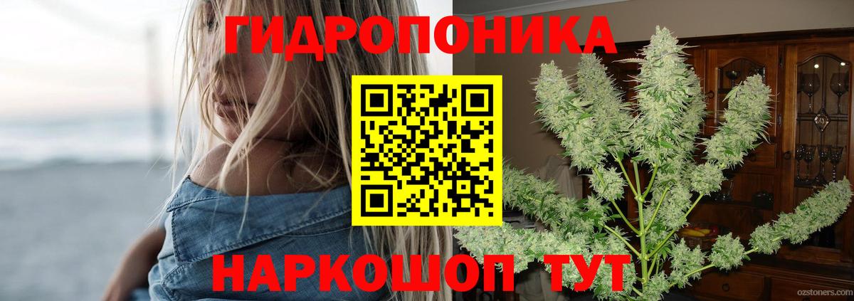 Бошки Шишки THC 21%  Будённовск  Конопля конопля 